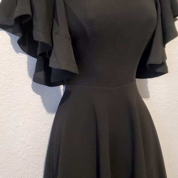 H&M Elegant Black Ruffled Sleeve Fit & Flare Dress Size XS - Picture 4 of 6